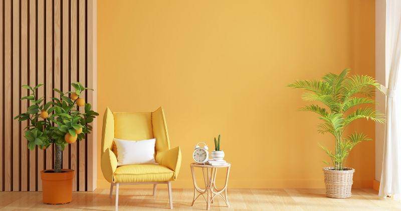 Freepik/wuttichai1983